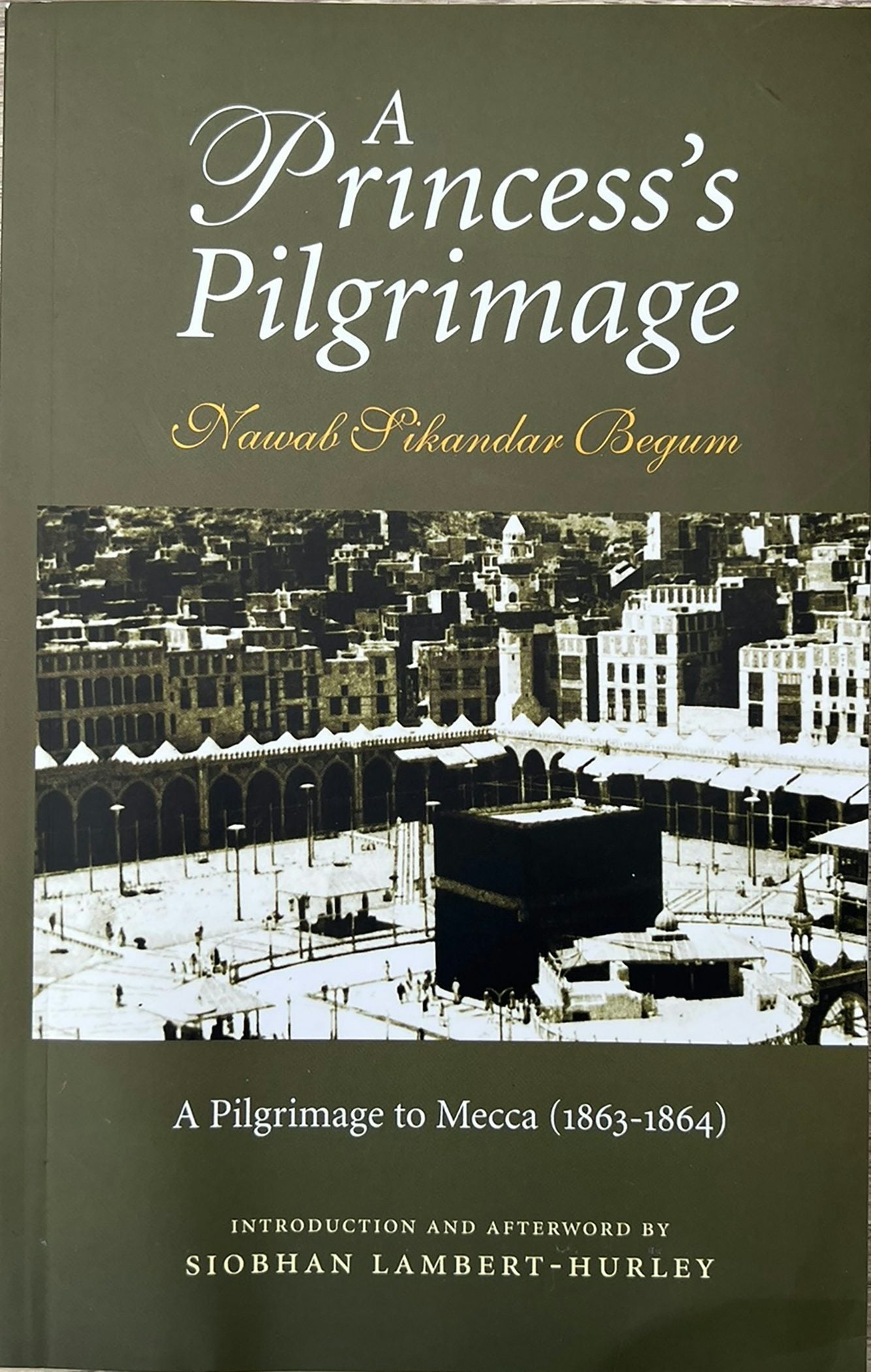 Book cover image for A Princess's Pilgrimage ISBN: 9781847740007